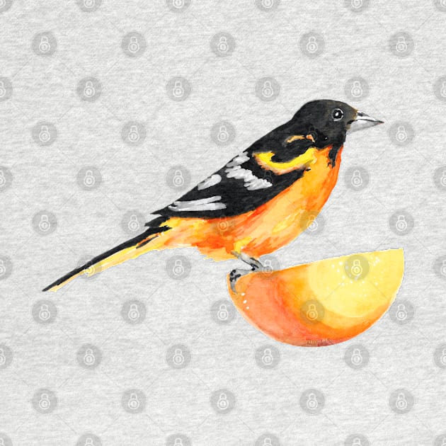 Oriole and Orange by Amy-Elyse Neer